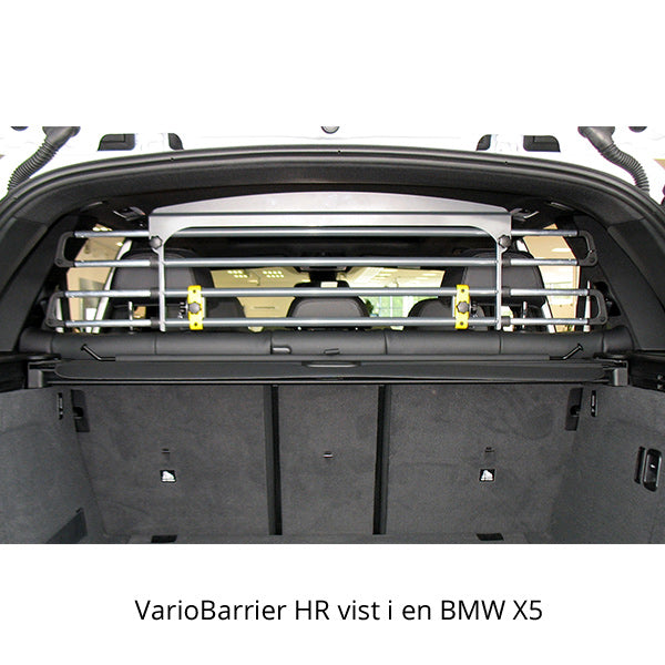 VarioBarrier Headrest