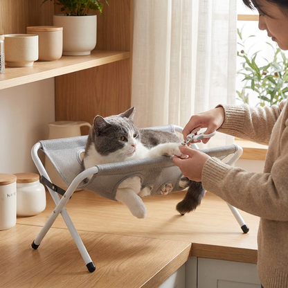 Kloklippning av katt i hängmattan